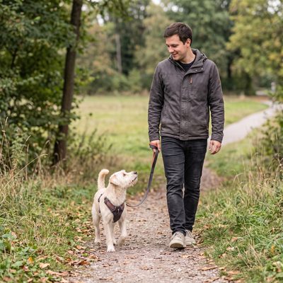Hund schaut beim Gehen zu seinem Besitzer zurück, der lächelnd den Blick erwidert