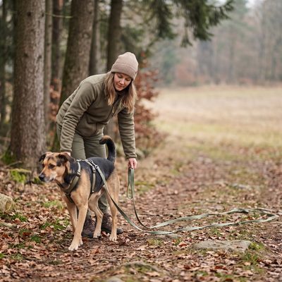 Frau hält eine lange Schleppleine, die neben ihrem Hund auf dem Waldboden ausgelegt ist