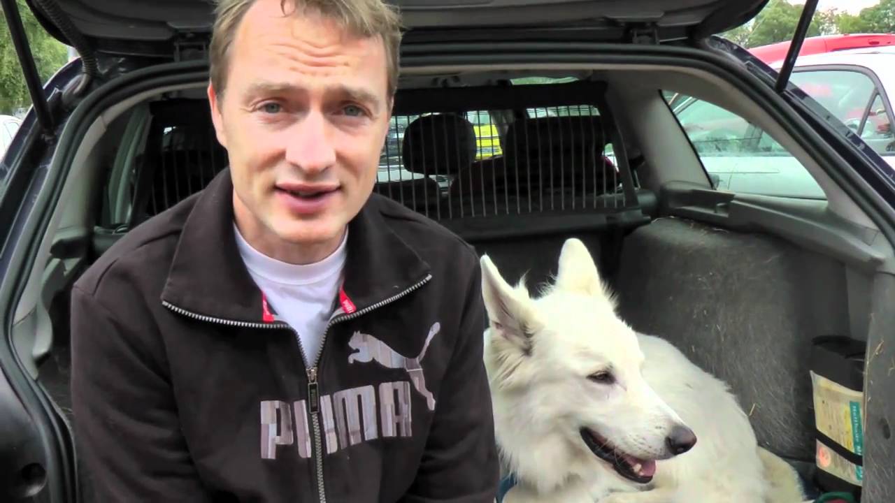Hundeerziehung Husky die online Hundeschule